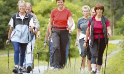 skandinavskaya-xodba-2 (1)